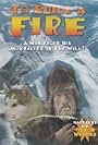 To Build a Fire (1969)