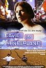 David im Wunderland (1998)