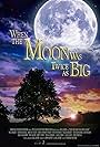 When the Moon Was Twice as Big (2025)