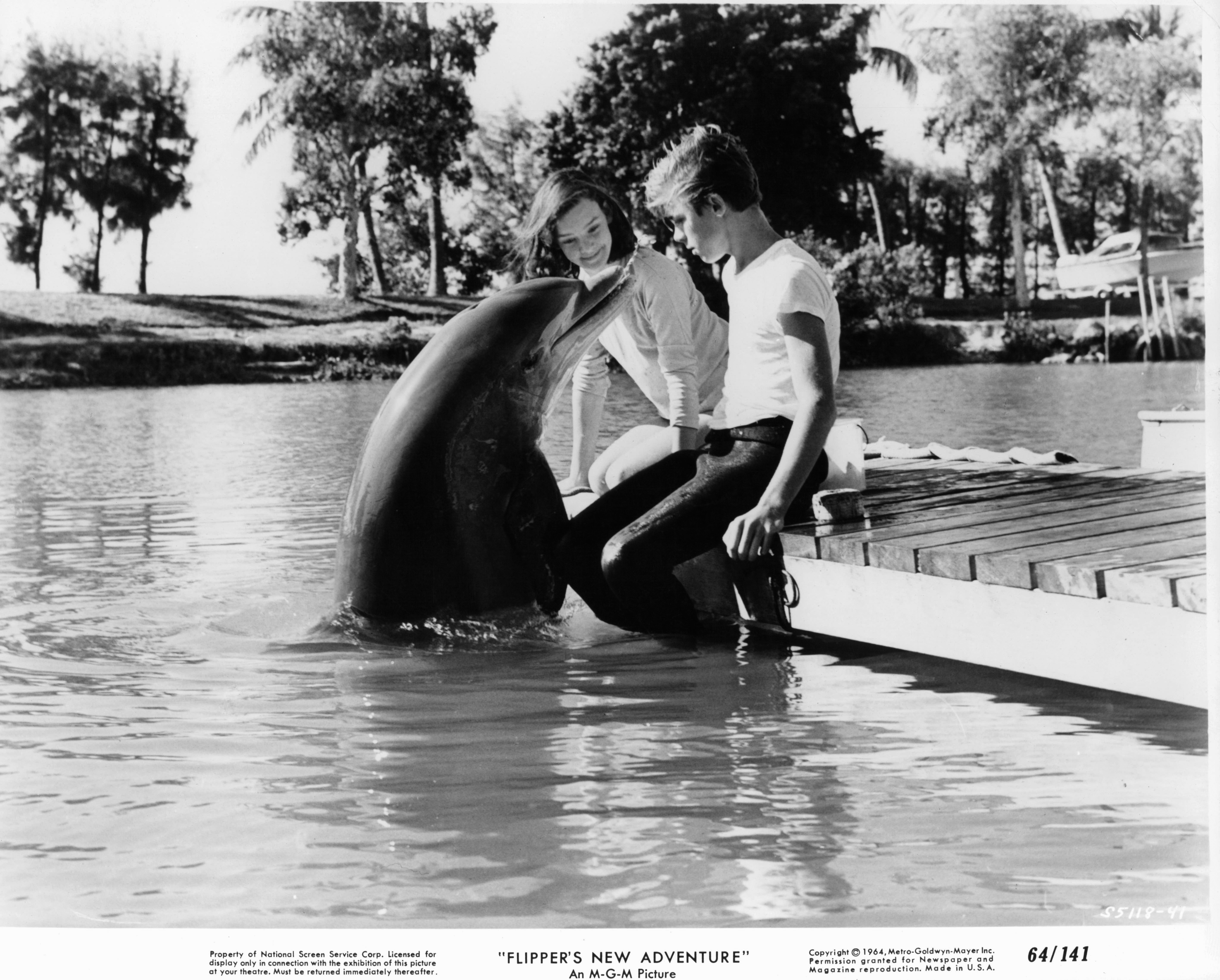 Luke Halpin and Flipper in Flipper (1964)