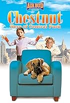 Chestnut: Hero of Central Park