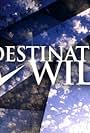 Destination Wild (2006)