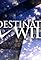 Destination Wild's primary photo