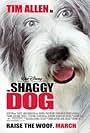 The Shaggy Dog