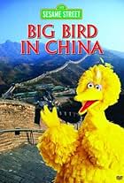 Big Bird in China