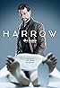 Dr Harrow (TV Series 2018–2021) Poster