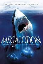 Megalodon