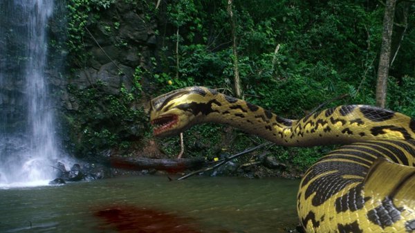 Piranhaconda (2012)