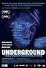 Underground: L'histoire de Julian Assange (2012) Poster