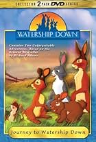 Watership Down