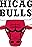 Chicago Bulls's primary photo