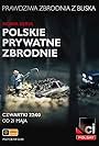 Polskie prywatne zbrodnie (2013)