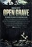 Open Grave (2013) Poster