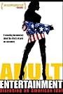 Adult Entertainment: Disrobing an American Idol (2007)