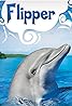 Flipper le dauphin (TV Series 1964–1967) Poster