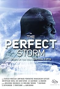 Primary photo for The Perfect Storm: Story on the 1994 Montreal Expos