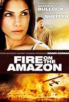 Fire on the Amazon