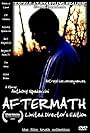 Aftermath DVD Poster