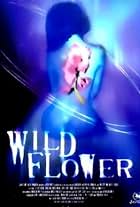 Wildflower