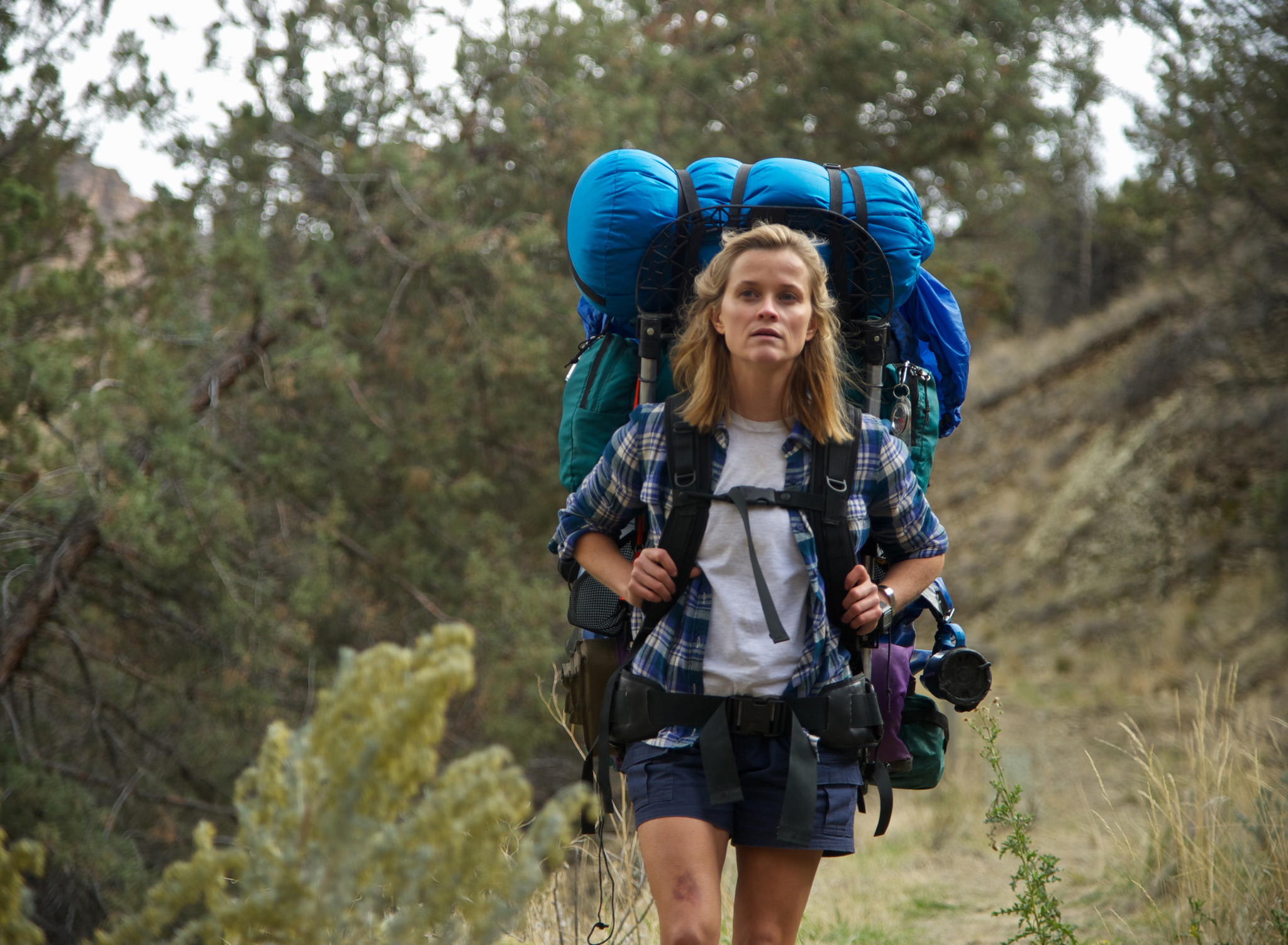 Reese Witherspoon in Wild (2014)