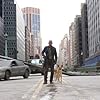 Will Smith and Abbey in I Am Legend (2007)