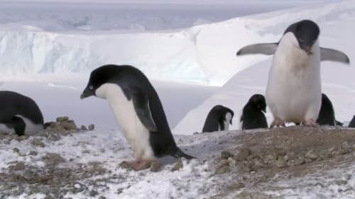 Frozen Planet (2011)