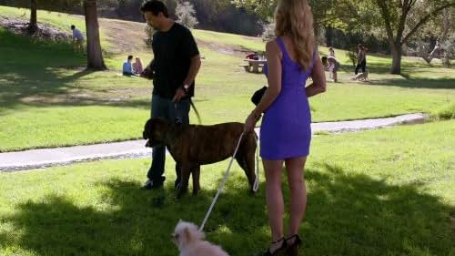 Jeremy Sisto and Cheryl Hines in Suburgatory (2011)