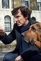 Benedict Cumberbatch in Sherlock (2010)