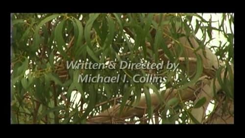 Vizion Productions - Conceived and directed by Michael I Collins