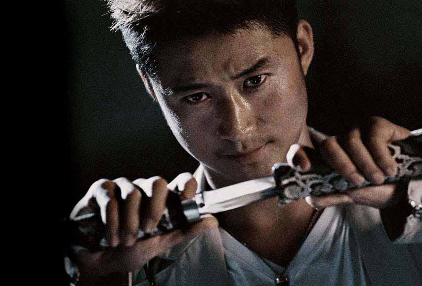 Jing Wu in Kill Zone (2005)