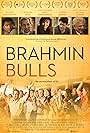 Brahmin Bulls