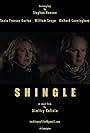 Shingle (2014)