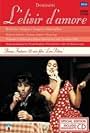 L'Elisir d'amore (1996)