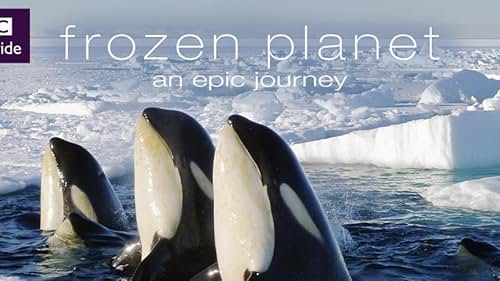 Frozen Planet (2011)