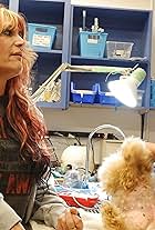 Ruff Rescue, MASH Pet Clinic of LA (2019)