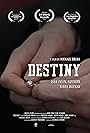 Destiny (2017)