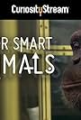 Super Smart Animals (2012)