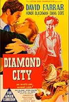 Diamond City