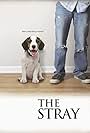 The Stray (2012)