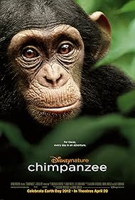 Chimpanzee (2011)