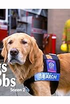 Dogs with Jobs (2000)