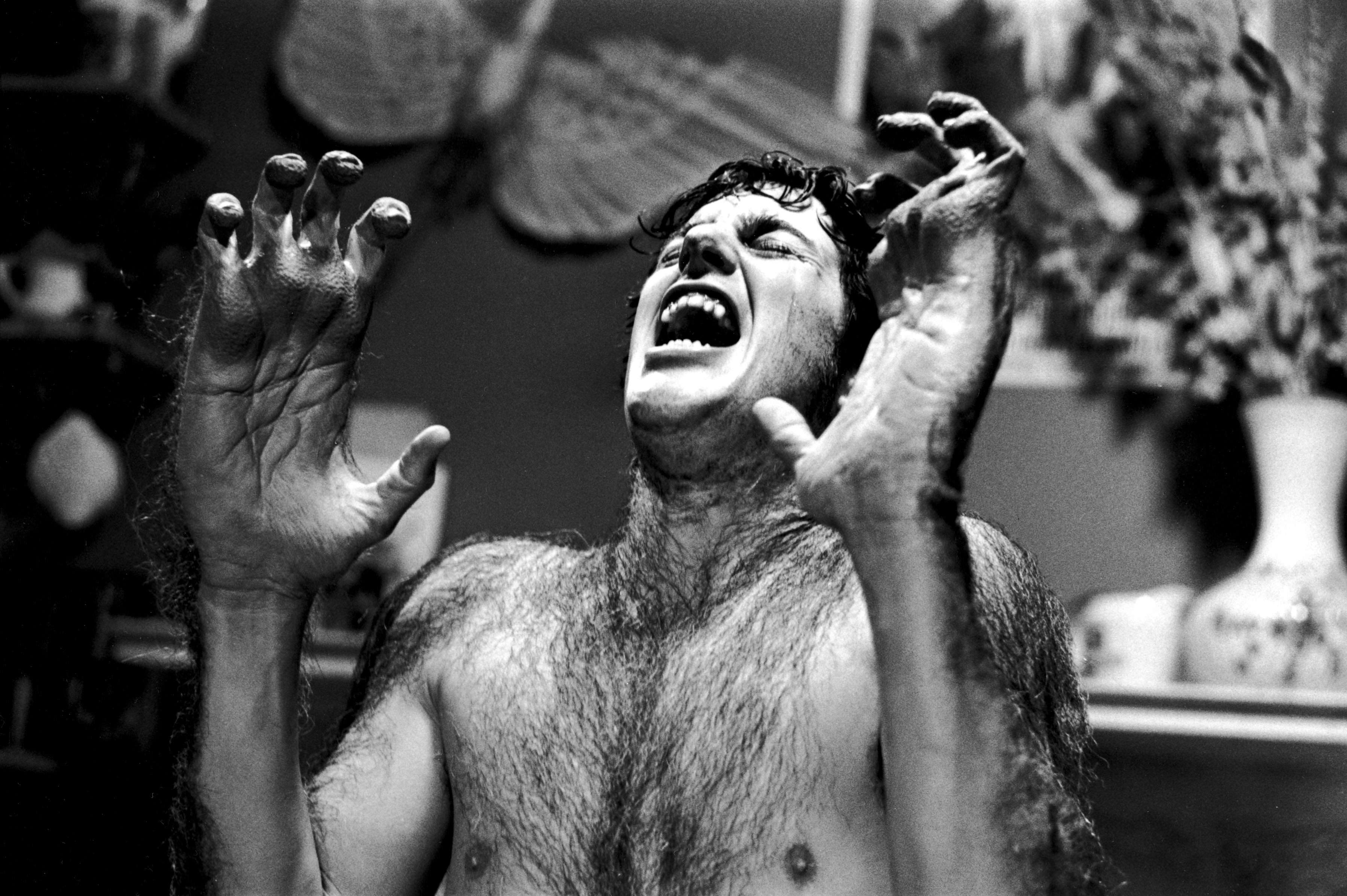 David Naughton in An American Werewolf in London (1981)