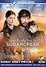 Trouver l'amour à Sugarcreek (TV Movie 2014) Poster