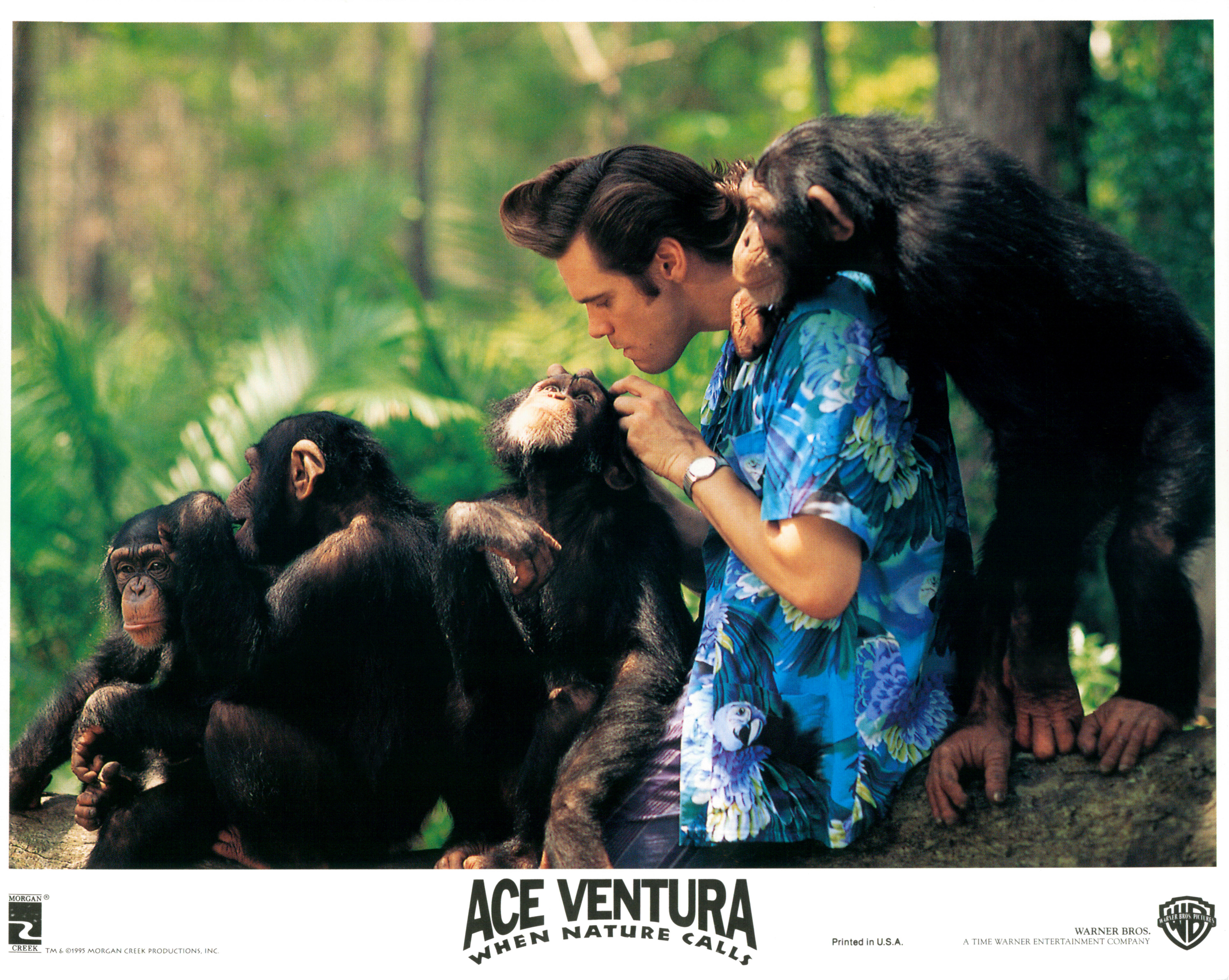 Jim Carrey in Ace Ventura: When Nature Calls (1995)