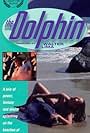 The Dolphin (1987)