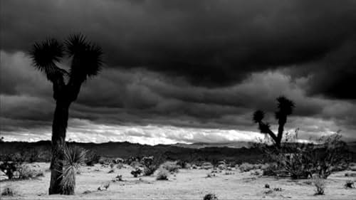 JOSHUA TREE, 1951 - a film by Matthew Mishory - Teaser