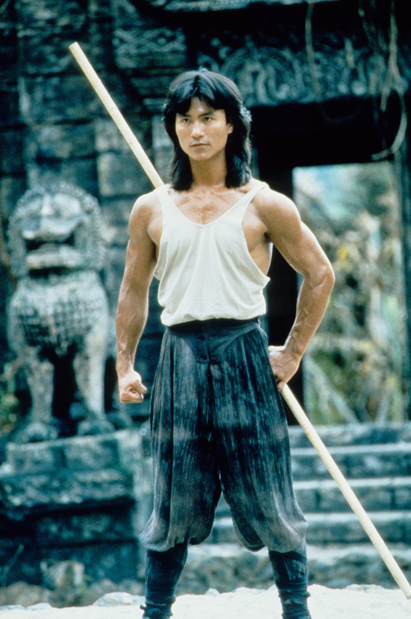 Robin Shou in Mortal Kombat (1995)