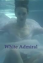 White Admiral (2011)