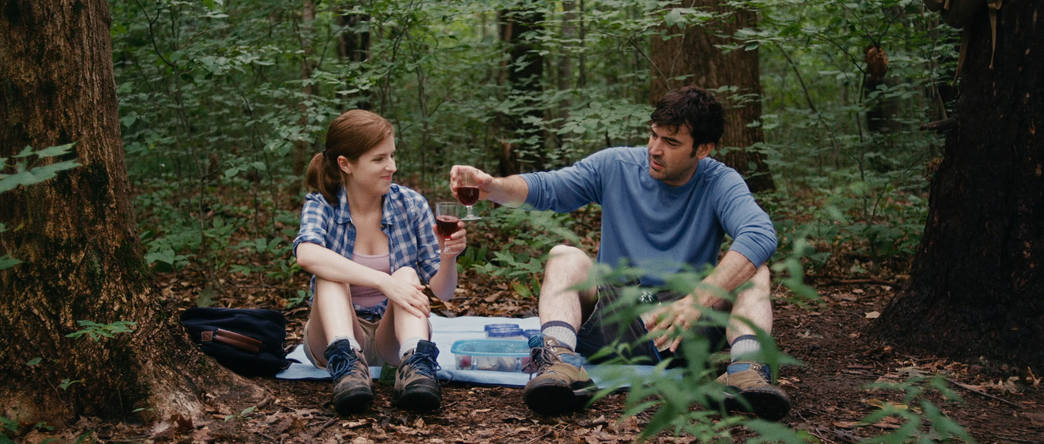 Anna Kendrick and Ron Livingston in Drinking Buddies (2013)