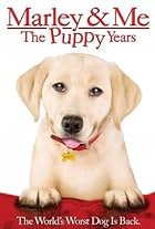 Marley & Me: The Puppy Years